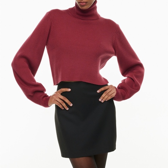 Aritzia Sweaters - ARITZIA Wilfred Rebecca Turtleneck Size Small